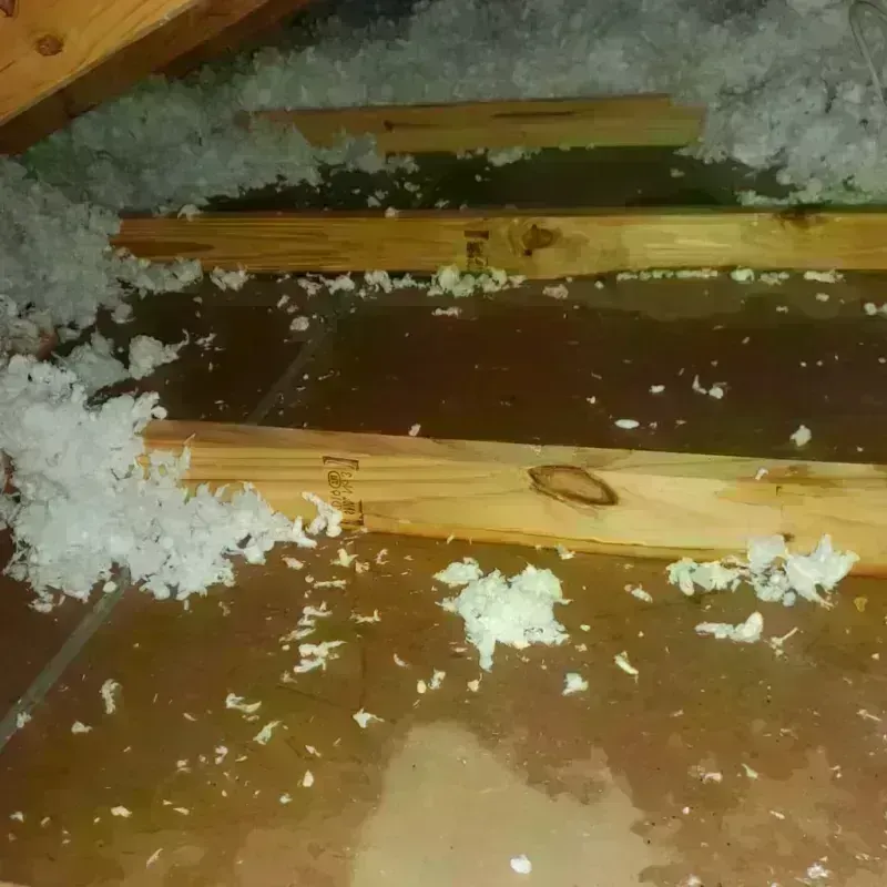 Attic Water Damage in Dollar Corner, WA